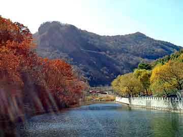 新澳天天开奖资料大全旅游团，穿越架空